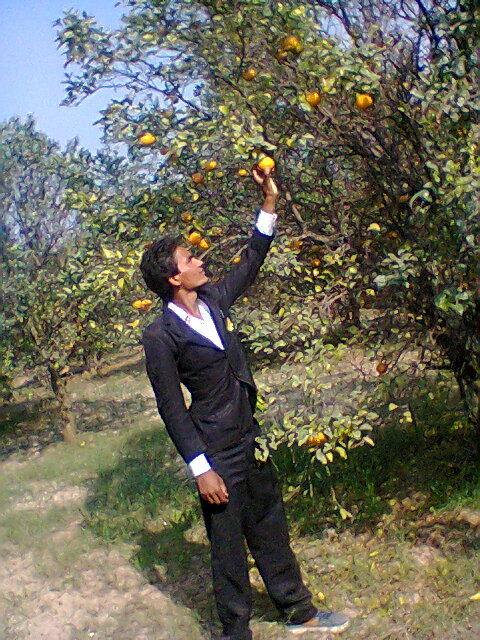 I am broken orang from garden